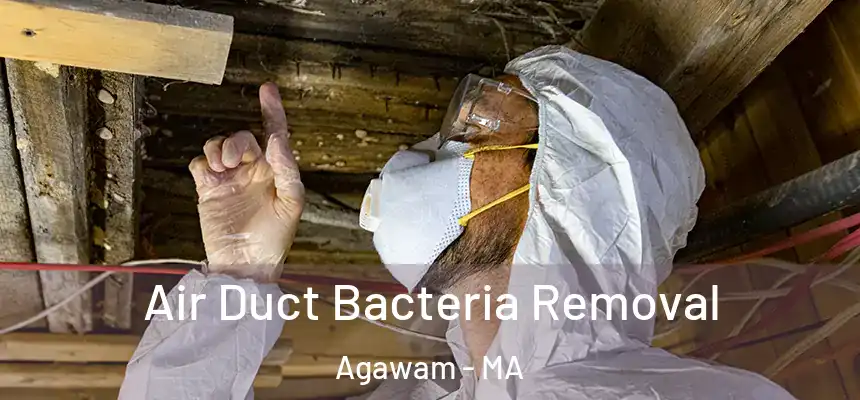  Air Duct Bacteria Removal Agawam - MA