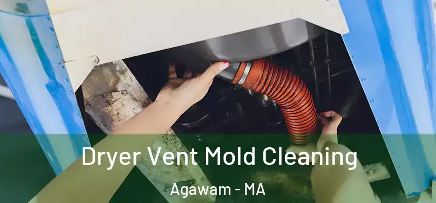  Dryer Vent Mold Cleaning Agawam - MA