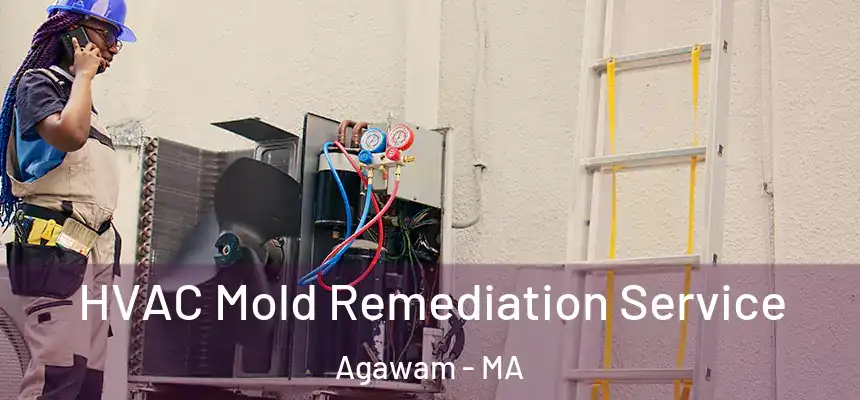 HVAC Mold Remediation Service Agawam - MA
