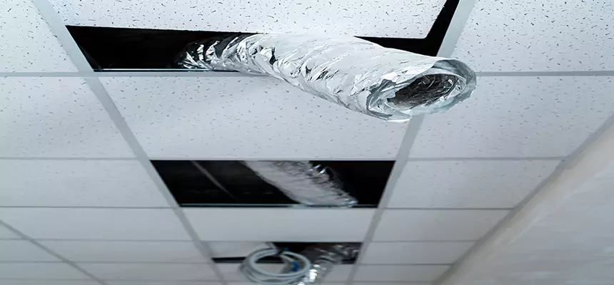 Our Air Duct Pet Hair Removal Services in Agawam, MA