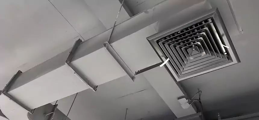 Restorative Allergy Relief Vent Cleaning – Coil, Blower & Housing Detail in Agawam