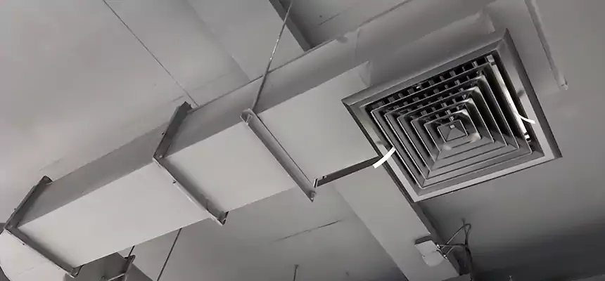 Our Pest Removal From Ducts Services in Agawam, MA