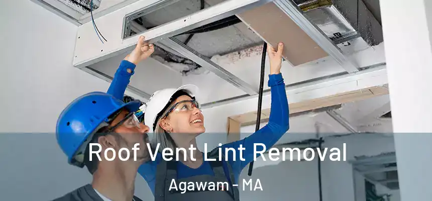  Roof Vent Lint Removal Agawam - MA