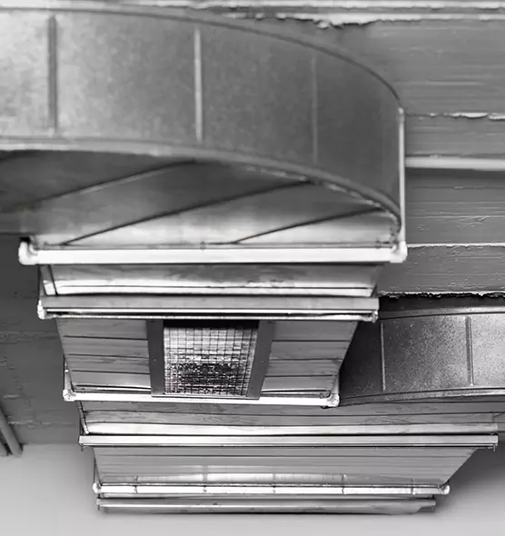 Professional Air Duct Pest Removal in Agawam, MA