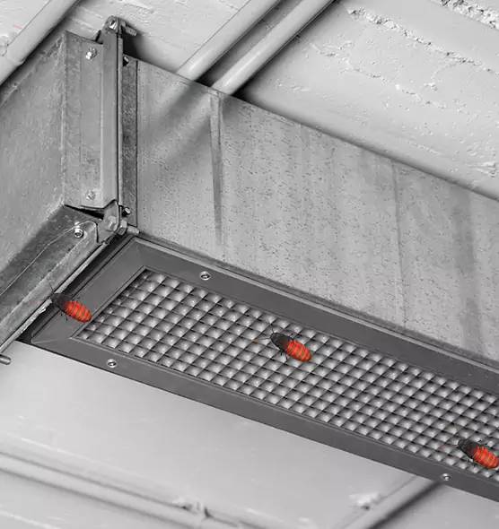 Affordable Insect Removal from Air Ducts in Agawam, MA
