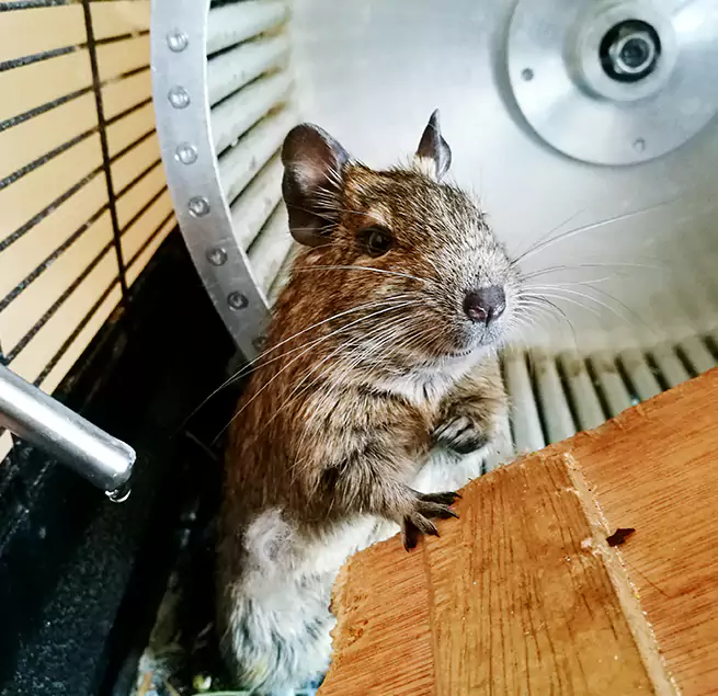 Why Homeowners & Businesses Trust Us Agawam, MA